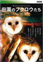 【バーゲンセール】【中古】DVD▼BBC ワイルドライフ・エクスクルーシヴ 田園のフクロウたち レンタル落ち