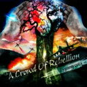 【処分特価・未検品・未清掃】【中古】CD▼Zygomycota レンタル落ち