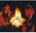 【処分特価・未検品・未清掃】【中古】CD▼this 通常盤 レンタル落ち