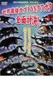 【中古】DVD▼世界最強カブトVSクワガタ全面対決! レンタル落ち