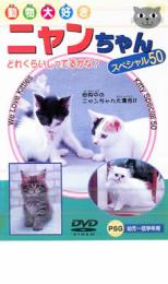 &nbsp;JAN&nbsp;4937629016395&nbsp;品　番&nbsp;PZD105&nbsp;制作年、時間&nbsp;2004年&nbsp;30分&nbsp;製作国&nbsp;日本&nbsp;メーカー等&nbsp;ピーエスジー&nbsp;ジャンル&nbsp;趣味、実用／子供向け、教育&nbsp;カテゴリー&nbsp;DVD&nbsp;入荷日&nbsp;【2024-02-10】【あらすじ】バーミラやソマリ、ジャパニーズ・ボブテイルなどいろいろなニャンちゃん50種類！