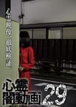 【バーゲンセール】【中古】DVD▼心霊闇動画 29 レンタル落ち