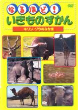 【バーゲンセール】【中古】DVD▼なるほど!いきものずかん キリン・ゾウのなかま レンタル落ち