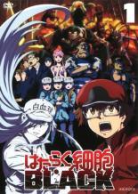 【中古】 はたらく細胞BLACK（7巻セット） [レンタル落ち] [DVD]