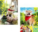 【バーゲンセール】2パック【中古】DVD▼映画版 マメシバ一郎(2枚セット)+ フーテンの芝二郎 レンタル落ち 全2巻