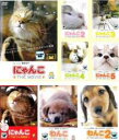 【バーゲンセール】【中古】DVD▼にゃんこ THE MOVIE 全5巻 +THE CLASSIC + わんこ THE MOVIE 全2巻(8枚セット) レンタル...