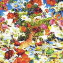 【バーゲンセール】【中古】CD▼Wild Flowers 通常盤 レンタル落ち