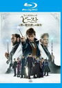 【バーゲンセール】【中古】Blu-ray▼ファンタスティック・ビーストと黒い魔法使いの誕生 ブルーレイディスク レンタル落ち