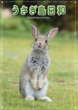 【バーゲンセール】【中古】DVD▼うさぎ島日和 レンタル落ち