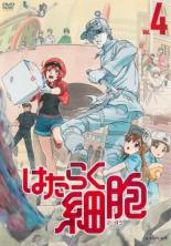 【中古】DVD▼はたらく細胞 4(第6話、第7話) レンタル落ち