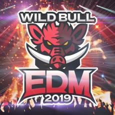【中古】CD▼Wild Bull EDM 2019 レンタル落ち