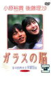 【中古】DVD▼ガラスの脳 レンタル落ち