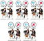 全巻セット【中古】DVD▼ヤンキー君とメガネちゃん(5枚セット)第1話〜最終話 レンタル落ち 1,399円