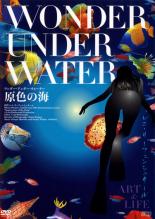 【バーゲンセール】【中古】DVD▼ワンダー・アンダー・ウォーター 原色の海 字幕のみ レンタル落ち