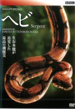 【バーゲンセール】【中古】DVD▼ワイルド・ライフ スペシャルズ 毒ヘビ 静かなる暗殺者 レンタル落ち