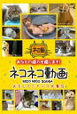 【中古】DVD▼ネコネコ動画 おもしろニャンコ大集合 レンタル落ち
