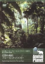 &nbsp;JAN&nbsp;4582268518320&nbsp;品　番&nbsp;AHBD50019&nbsp;出　演&nbsp;リー・グリズマー／ジェシー・グリズマー&nbsp;制作年、時間&nbsp;2005年&nbsp;46分&nbsp;製作国&nbsp;イギリス／アメリカ&nbsp;メーカー等&nbsp;アーティストハウスエンタテインメント&nbsp;ジャンル&nbsp;その他、ドキュメンタリー／動物&nbsp;カテゴリー&nbsp;DVD&nbsp;入荷日&nbsp;【2023-03-18】【あらすじ】マレーシアの人里離れた島で、幻の青い毒蛇‘ブルー・ピット・バイパー’を探す前代未聞の冒険に挑む親子を密着した、今までにないプログラムで収録。レンタル落ち商品のため、ディスク、ジャケットに管理シールが貼ってあります。