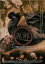 【中古】DVD▼忍邪 154円
