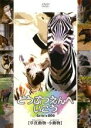 【バーゲンセール】【中古】DVD▼どうぶつえんへいこう 草食動物 小動物