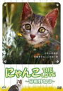 【中古】DVD▼にゃんこ THE LOVE 安曇野ねこ レンタル落ち