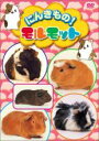 【バーゲンセール】【中古】DVD▼にんきもの!モルモット レンタル落ち