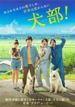 ◆商品説明◆ 商品名 【中古】 犬部！ [レンタル落ち] [DVD] JAN 4988021235419 型番 VPBT23541 ご確認ください 状態「中古：やや傷や汚れあり」 ●レンタル店で使用されていた中古品です。」 ●当店で取り扱いを行っている、中古DVD、中古ブルーレイ、中古CDはすべて「ケース無し」になります。」 ●ディスクは不織布ケースに入れ、ジャケットとともに送付いたします。」 ●鑑賞用で販売させて頂いております。あまりに神経質な方、完璧を求められる方はご購入をお控え下さい。」 ●ジャケット(紙)には、バーコード・管理用シール等が貼ってある場合があります。」 ●ジャケット(紙)には、日焼け箇所がある場合があります。完璧を求められる方はご購入をお控え下さい。」 ●店舗や他サイトでも販売している為、在庫切れの場合はキャンセルとさせて頂きます。予めご了承下さい。」【中古】 犬部！ [レンタル落ち] [DVD] [邦画][映画]