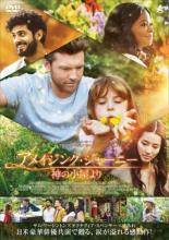 【中古】 アメイジング・ジャーニー 神の小屋より [レンタル落ち] [DVD]