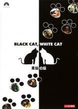 Variety - 【中古】 黒猫 白猫【字幕】 [レンタル落ち] [DVD] PDT111032