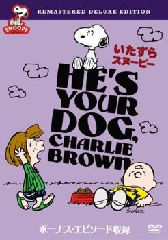 ◆商品説明◆ 商品名 【中古】 いたずらスヌーピー [レンタル落ち] [DVD] JAN 4988135828859 型番 DLRY26036 ご確認ください 状態「中古：やや傷や汚れあり」 ●レンタル店で使用されていた中古品です。」 ●ディスクは不織布ケースに入れ、ジャケットとともに送付いたします。」 ※商品に【ジャケットなし】などの表記がある場合はタイトル表記の状態での送付となります。 ●ディスクは不織布ケースに入れ、ジャケットとともに送付いたします。」 ●鑑賞用で販売させて頂いております。あまりに神経質な方、完璧を求められる方はご購入をお控え下さい。」 ●ジャケット(紙)には、バーコード・管理用シール等が貼ってある場合があります。」 ●ジャケット(紙)には、日焼け箇所がある場合があります。完璧を求められる方はご購入をお控え下さい。」 ●店舗や他サイトでも販売している為、在庫切れの場合はキャンセルとさせて頂きます。予めご了承下さい。」【中古】 いたずらスヌーピー [レンタル落ち] [DVD] [アニメ]