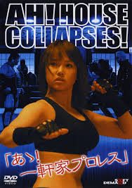 【中古】 あゝ!一軒家プロレス [レンタル落ち] [DVD]