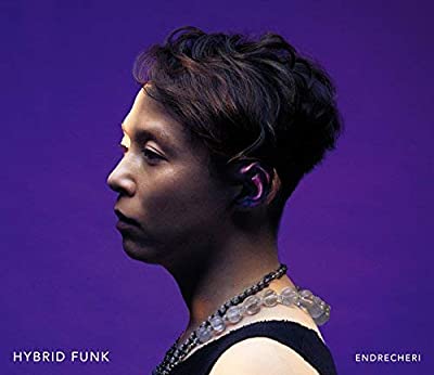 CD/ENDRECHERI/HYBRID FUNK(Limited Edition B)(CD+DVD)