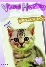 【バーゲンセール】【中古】DVD▼Visual Healing 9 3ッ子のアメリカンショートヘア レンタル落ち