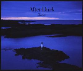 【中古】CD▼After Dark レンタル落ち