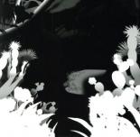 【中古】CD▼UMA 通常盤