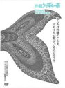 【バーゲンセール】【中古】DVD▼沖縄 うりずんの雨 レンタル落ち