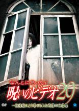 怪談師山口綾子のエロ怖い話 [DVD]