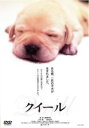 【バーゲンセール】【中古】DVD▼【訳あり】クイール ※ディスクのみ レンタル落ち