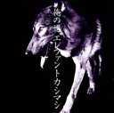 【バーゲンセール】【中古】CD▼俺の道 レンタル落ち