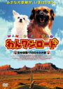【バーゲンセール】【中古】DVD▼わんワンロード 全米横断5500キロの旅 レンタル落ち
