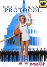 ͷING ŷԾŹ㤨֡ڥС󥻡ۡšDVDꥫ 󥿥פβǤʤ319ߤˤʤޤ