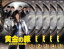 全巻セット【送料無料】【中古】DVD▼黄金の豚 会計検査庁 特別調査課(5枚セット)第1話〜第9話 最終 レンタル落ち 4,376円