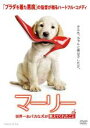 【バーゲンセール】【中古】DVD▼マーリー 世界一おバカな犬が教えてくれたこと レンタル落ち