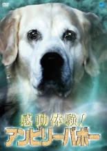 【処分特価・未検品・未清掃】【中古】DVD▼感動体験!アンビリーバボー レンタル落ち