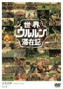 【バーゲンセール】【中古】DVD▼世界 ウルルン 滞在記 6 山本太郎 レンタル落ち