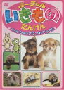 【バーゲンセール】【中古】DVD▼バーチャル いきもの たんけん ペットショップにつれてって!! レンタル落ち