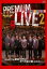 【中古】DVD▼人志松本のすべらない話 プレミアムライブ2 大阪 レンタル落ち 765円
