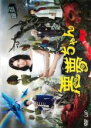 【バーゲンセール】【中古】DVD▼悪夢ちゃん 5(第9話〜第11話) レンタル落ち