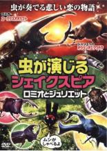 「売り尽くし」【訳あり】動物大好き こんちゅうスペシャル100 ※付属品なし【趣味、実用 中古 DVD】メール便可 ケース無::