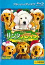 【バーゲンセール】【中古】Blu-ray▼サンタ・バディーズ 小さな5匹の大冒険 ブルーレイディスク レンタル落ち