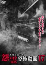 【バーゲンセール】【中古】DVD▼本当にあった怨霊恐怖動画 17